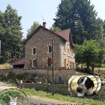 E Lu Chantauziau La Monnerie-le Montel Dış mekan fotoğraf